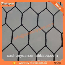 Protection contre le revêtement en PVC Fence Netting